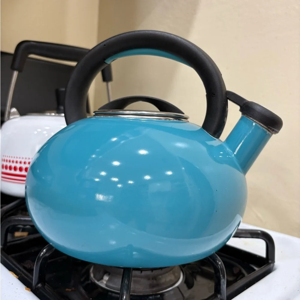 Teal Whistling Stovetop Kettle with Black Handle and Spout Cap